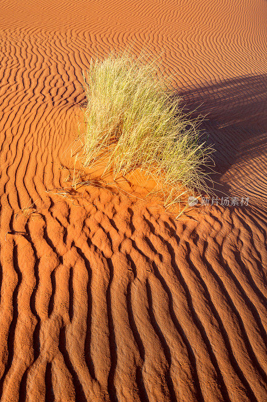 沙子和Erg Chebbi沙漠，Merzouga，摩洛哥，北非